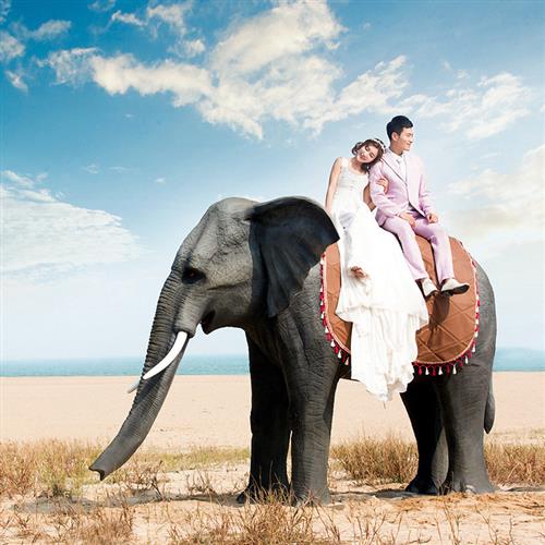 仿真动物大象:玻璃钢雕塑商场景区园林游乐园大型户外摆件