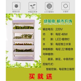 家庭设备大棚设备植n物工厂设备水培种菜设备阳台种菜设备4922