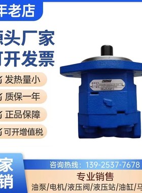 新款天津泊姆克齿轮泵P124A085TXZA10-54铁福来N油泵P124A085A包