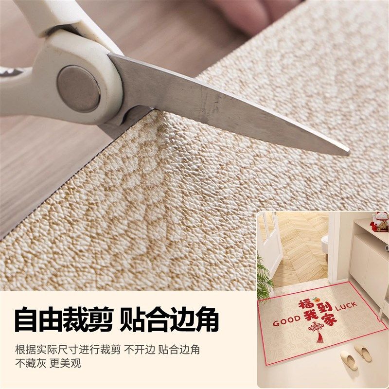 德国入户门地垫可擦免q洗pvc2025新款脚垫乔迁之喜门口地毯