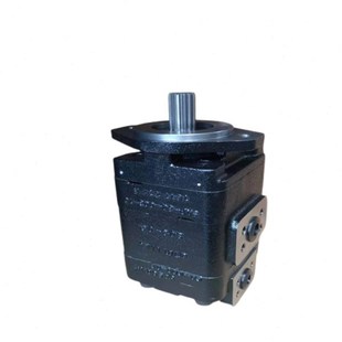 54G877 G1H6182LD 01109油 G16182LD54GBO齿轮泵P124 泊姆克P124