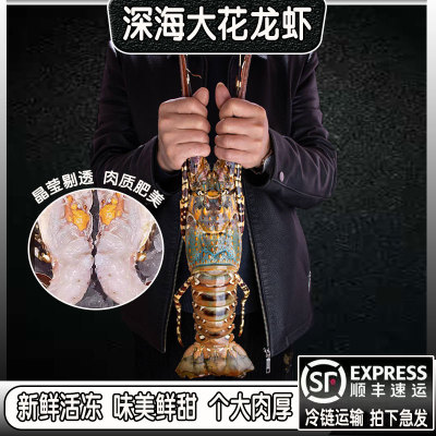 花龙虾青龙虾特大鲜活速冻海鲜