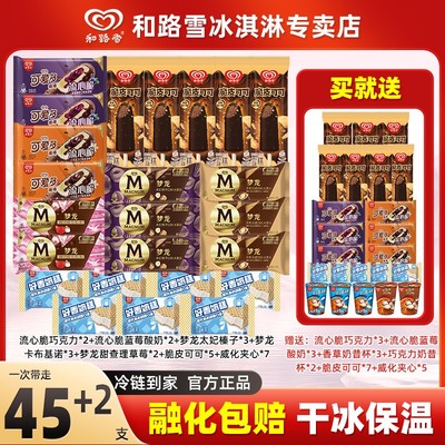和路雪梦龙47支香草可爱多流心脆奶昔杯冰淇淋雪糕 -HY34