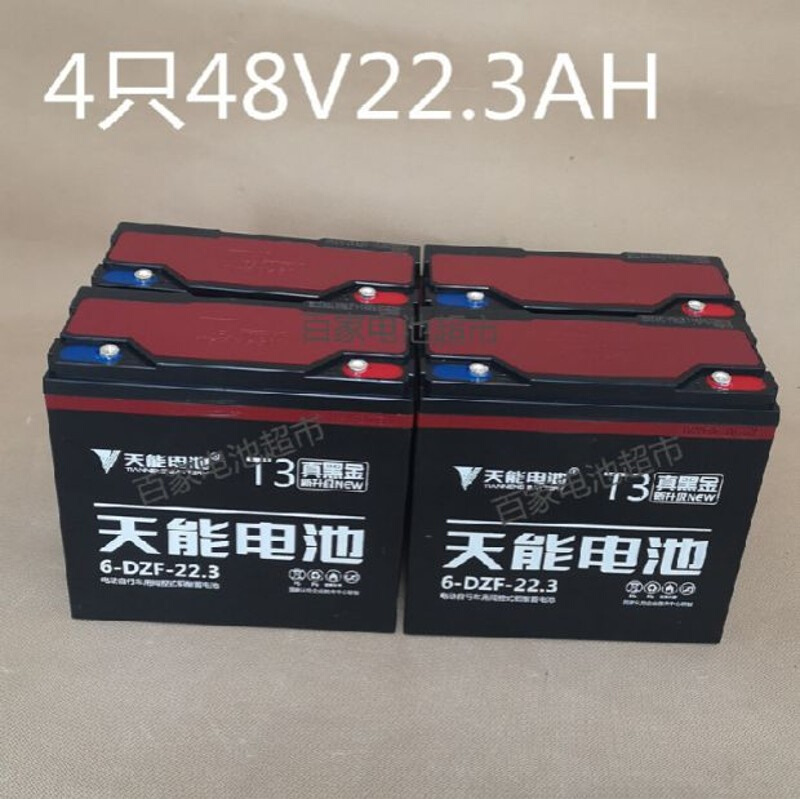 A6黑金T3铅酸蓄电池48v20ah12AH电动车瓶车60V20a 6dzF20/12A