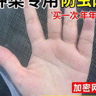 100目防虫网纱网大棚专用防虫网种菜专用果树防蚊网罩防蚊虫网