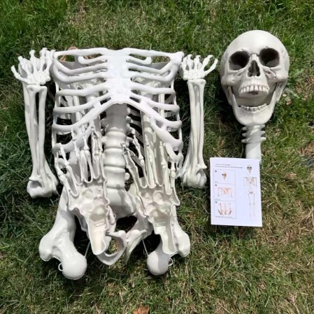 新品万圣节170骷髅大骨架组装小包装跨境电商亚马逊爆品坐挂鬼人