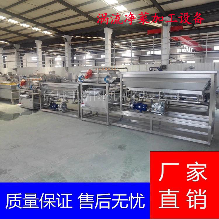 新款萝卜土豆蒜苗涡流清洗机