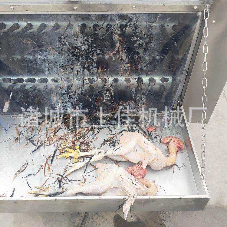 家禽脱毛机鸡鸭鹅小型全自动家用杀鸡毛神器商用大型打毛机拔毛机