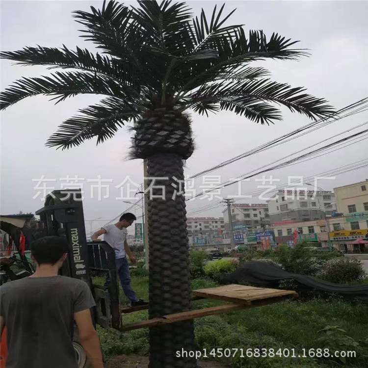 仿真加拿利海枣树 仿真绿植仿真树 展览树景区游乐场大型景观树