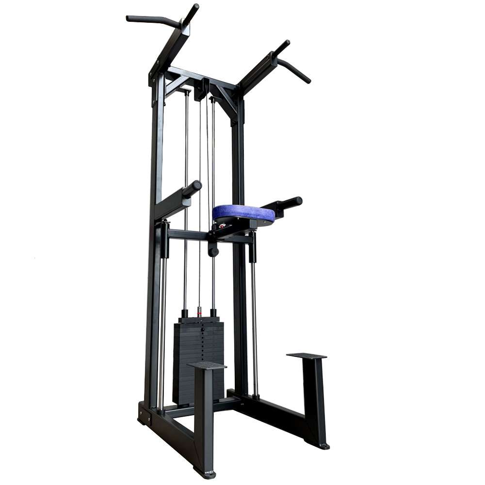 健身房助力引体向上训练器背部力量器材Assisted Chin / Dip GYM