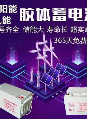 太阳能胶体蓄电池12v100ah长寿命12v200A光伏监控路灯免维护铅酸
