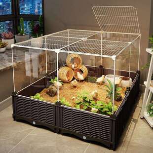 饲养箱铁笼加密芦丁鸡号专用育雏鸡笼子超大养殖养殖家用大号生态