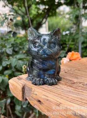 Labradorite天然水晶拉长石原石雕刻霸气小猫摆件流行家居装饰