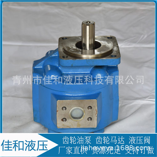 【供应】铲车液压泵 铲车工作泵 柳工ZL40B装载机液压泵CBG2080