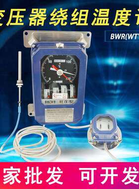变压器绕组温度控制器BWR(WTYK)-04/WTYK-04绕组温控器0-150度
