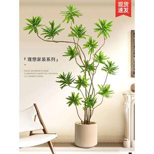 仿生绿植百合竹室内高级装饰摆件客厅落地仿真树盆栽奶油风假植物
