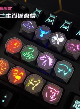 3D打印成龙历险记十二生肖键帽抖音同款周边朋友生日键盘全套