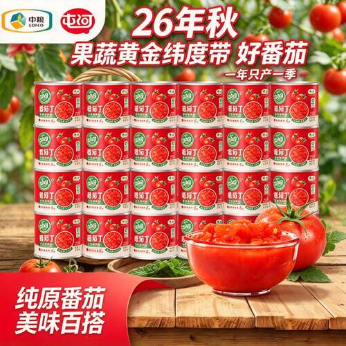 屯河番茄丁罐头绿色不添加防腐剂