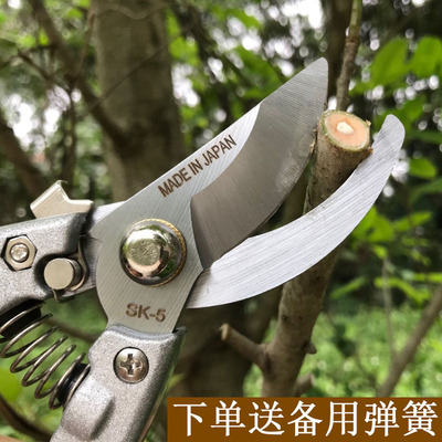 园林剪刀修枝剪花艺剪刀修花剪刀盆景园艺剪果树剪刀修剪树枝剪刀
