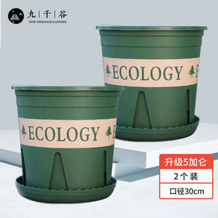 园艺花盆绿萝多肉花盆栽种家居塑料 九千谷加仑花盆高5加仑升级款