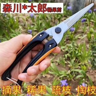 森川太郎直头稀果剪修枝采果芽修枝剪修花稀果摘果剪葡萄剪果疏果