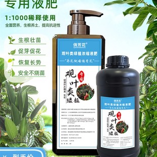 海芋 彩叶芋 蔓绿绒 秋海棠 热植专用肥 绿萝 龟背竹促生长