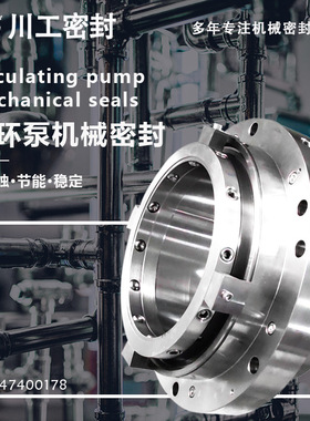 ZWQEMZ-1100-A1-330-PN6 ZWX11EMZ-1100-A1-330 浆液循环泵用机封