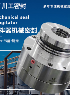 有搅拌机器密封261-65S15  2103503 浆液搅拌器机械密封 SD800-35