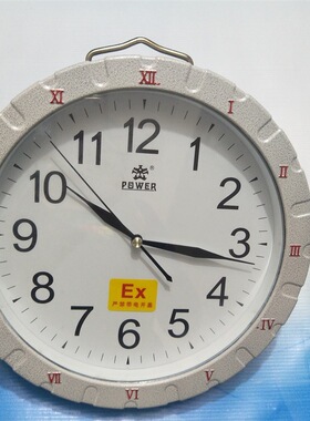 圆形IIC防爆石英钟 BSZ-2010全隔爆型防爆钟表