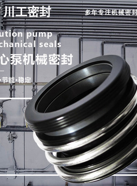 旋转机封 SLS32-200ADS\SLSD40-250IA\SL100-250B 机械密封件生产