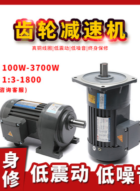 小型减速电机380V大扭矩变频750W齿轮减速机调速单相电机220v三相
