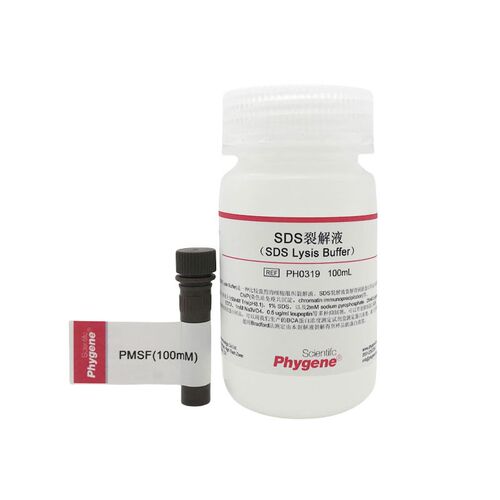 SDS裂解液 100mL 蛋白提取 细胞裂解 科研实验 PH0319 PHYGENE