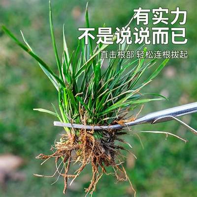 挖野菜神器园艺除草工具家用连根拔草杂草小铲子种花移苗起根苗器