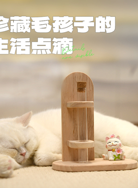 Pet cubic/它立方秘想猫咪手工胡须收纳收藏宠物毛发纪念创意礼品