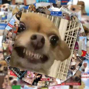 62张沙雕吉娃娃搞笑贴纸可爱抽象精神状态手机壳水杯DIY装饰贴画