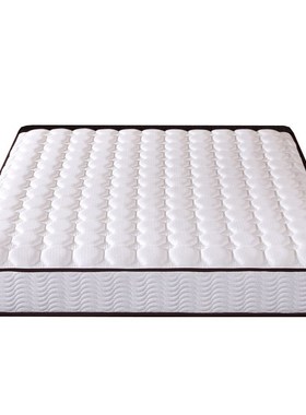 臻远 ZY-ML-H09201 席梦思弹簧床垫 100R0*2000 白色