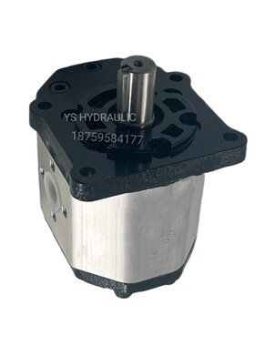 博顿油泵Bodeen齿轮泵BHP3B0 BHP3B1 BHP3A0 BHP3A1 BHM3B1液压泵