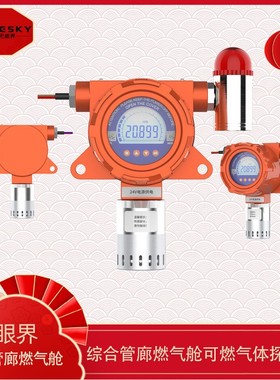一氧化氮探测器 固定式 氮氧化物检测仪 ES10B-LCD-NO 在线式报警