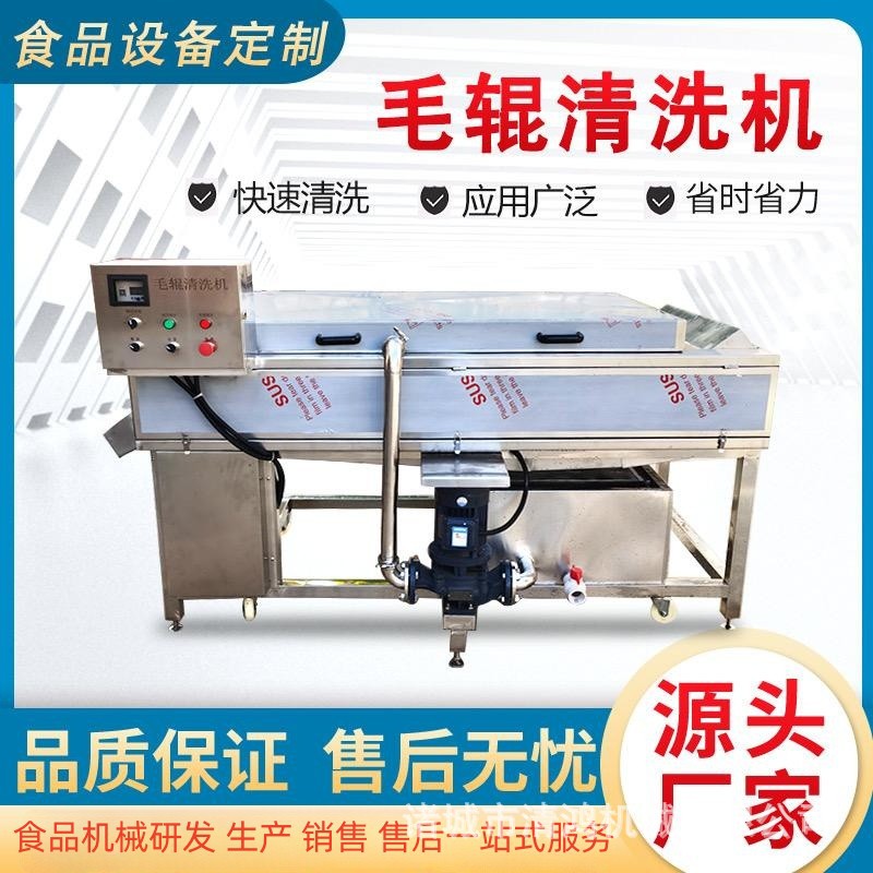 油菜竹笋去杂设备 酱腌菜去毛发清洗机 水果蔬菜去泥清洗机