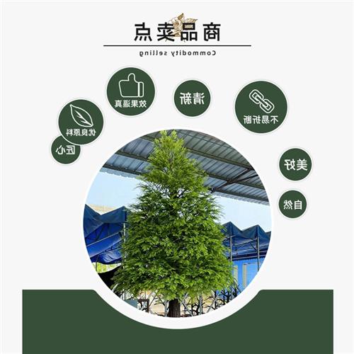 仿真松柏树户外绿化仿真绿植工程装饰水杉树定制各种假树盆栽图片
