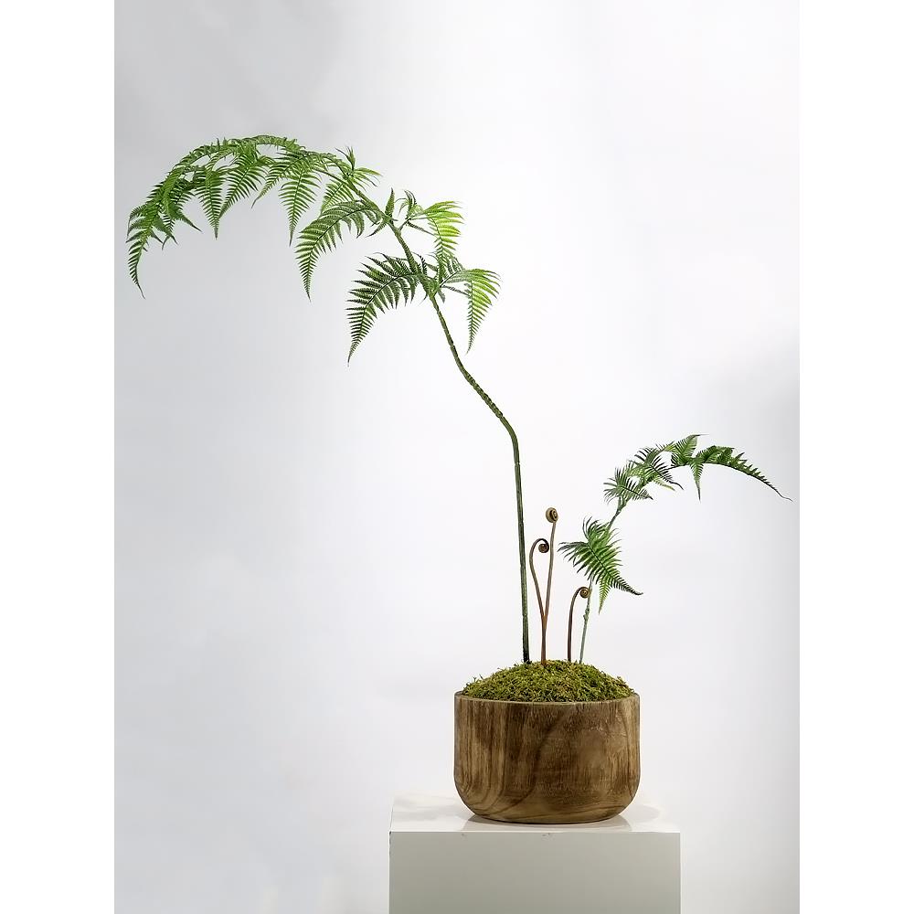 新中式侘寂风仿真金丝猴蕨绿植造景样板房禅意茶室大茶桌软装摆件