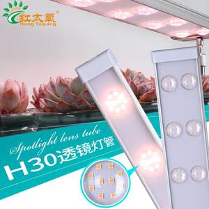 红太氧全光谱多肉补光灯仿太阳上色室内家用透镜灯管植物灯生长灯