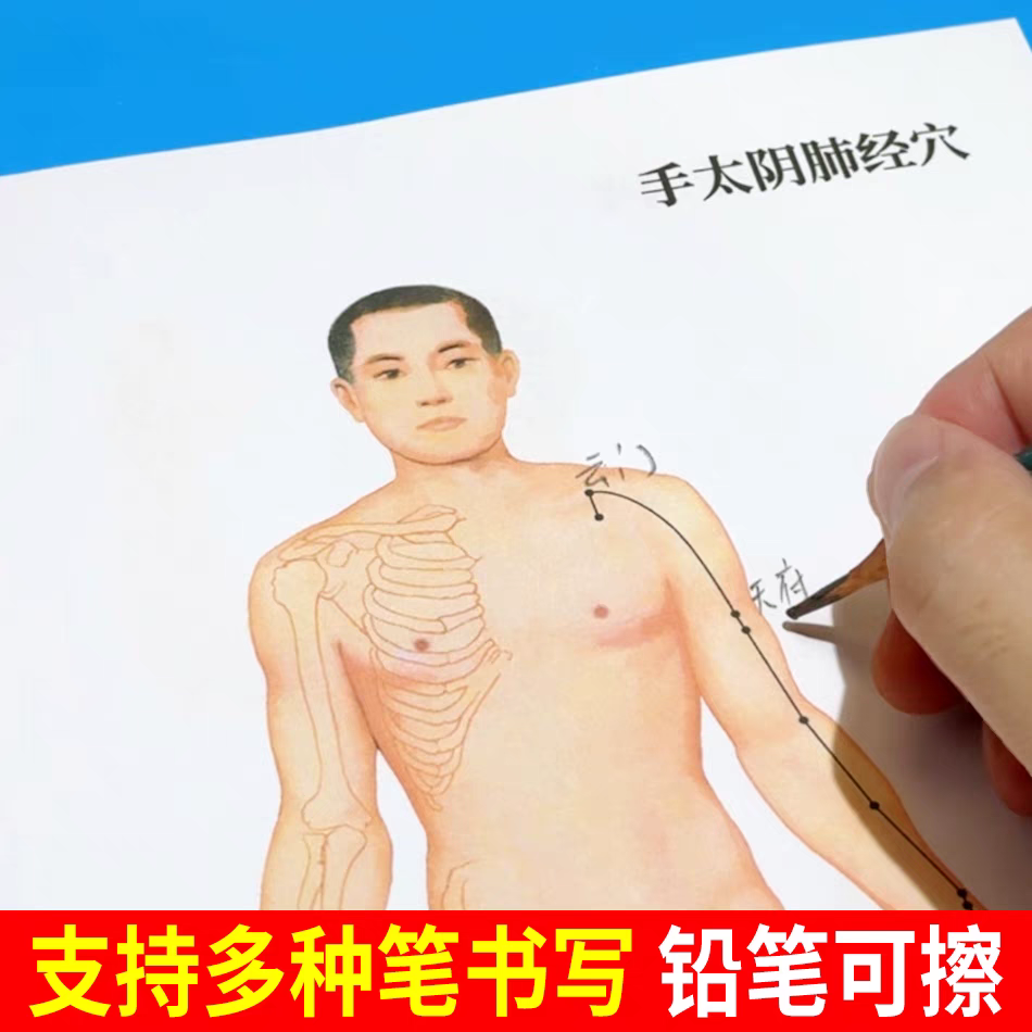 12经络图 穴位点十四经络图无穴位的练习册 复印纸打印 A4 可擦写