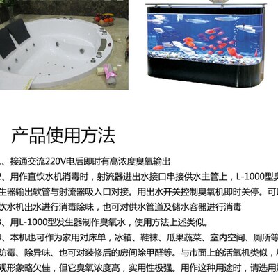 L-1000型臭氧发生器O3除甲醛美容理疗店空气杀Q菌消毒活氧机除异