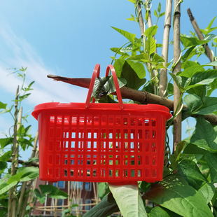 3斤4斤装e杨梅篮子塑料手提水果篮草莓篮荔O枝篮子真空包装篮带盖