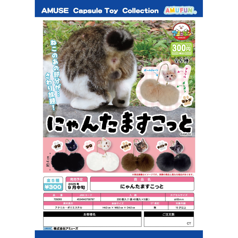 预订[龟仙社]日本AMUSE扭