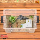 乌龟周转箱养乌龟l家用特大号过滤造景塑料透明养鱼养殖箱子乌龟