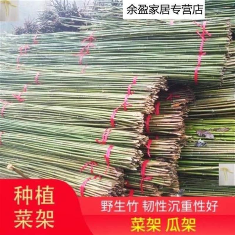 搭棚hqm篱笆子豆架瓜架竹子家用小黄瓜围菜角园花园竹竿架围栏搭