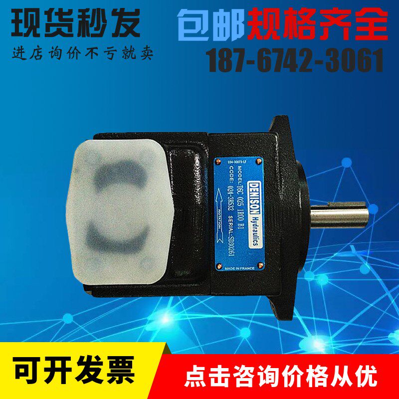 丹尼逊T6C-014-2R01-B1叶片泵 T6C 010 (1R00K 1R01 1R02 1R03) B
