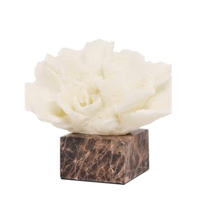 现代简单模拟树脂珊瑚创意饰品模型房售楼处九十珊瑚饰品